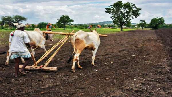 8.7 करोड़ किसानों को अतिरिक्त 2000 रुपए का भुगतान का ऐलान