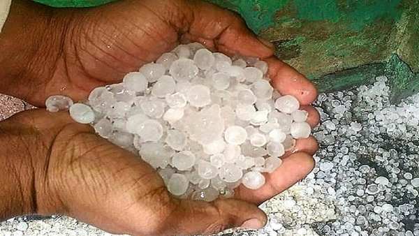 weather weather