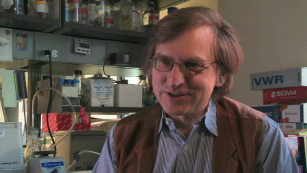 Get used to living with the corona virus, claims famous virologist Get used to living with the corona virus, claims famous virologist