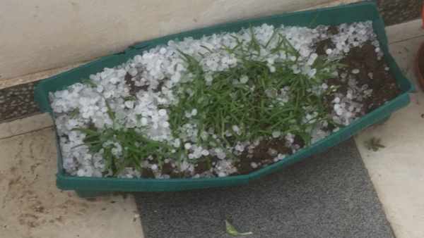 Hailstorm in Delhi videos of untimely rain spells on social media Hailstorm in Delhi videos of untimely rain spells on social media