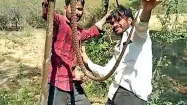 आदिवासी गाने पर डांस किया