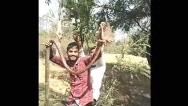वन विभाग की नजर वीडियो पर पड़ी