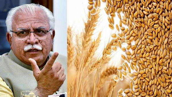 हरियाणा सरकार ने ये फैसले भी लिए