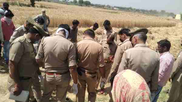 गेहूं के खेत मिला नरकंकाल