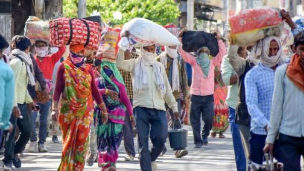 chhattisgarh, telangana, bijapur, coronavirus, lockdown, covid-19, migrants, छत्तीसगढ़, तेलंगाना, बीजापुर, कोरोना वायरस, कोविड-19, लॉकडाउन chhattisgarh, telangana, bijapur, coronavirus, lockdown, covid-19, migrants, छत्तीसगढ़, तेलंगाना, बीजापुर, कोरोना वायरस, कोविड-19, लॉकडाउन