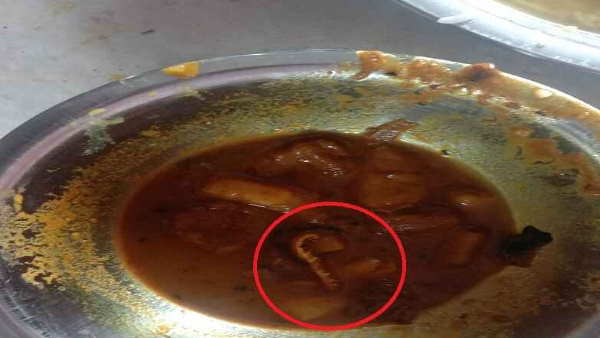 खाने में मिला जहरीला बिच्छू