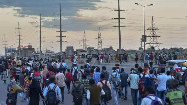 bihar disaster department take major decision for migrant labour bihar disaster department take major decision for migrant labour