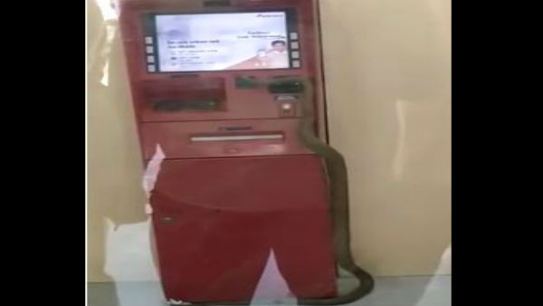 ATM में भीतर घुसा सांप
