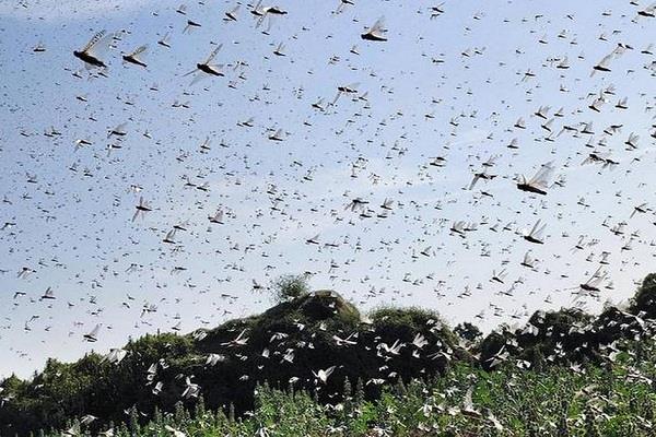 इन शहरों को जारी की गई ये एडवाइजरी