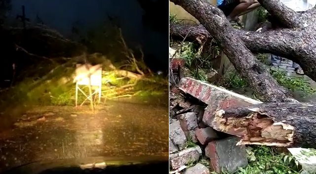 Thunderstorm in Agra three died in natural calamity Thunderstorm in Agra three died in natural calamity