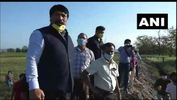 Assam: African swine flu havoc, 13,000 pigs killed Assam: African swine flu havoc, 13,000 pigs killed
