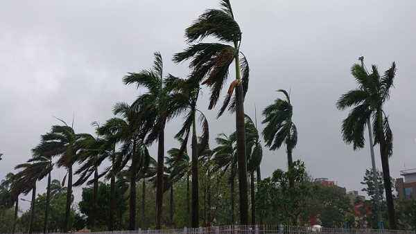 cyclone cyclone