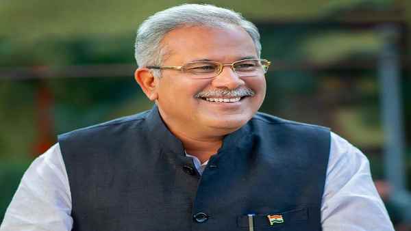Forest dwellers will earn Rs 2,500 crore by collecting small forest produce in Chhattisgarh Forest dwellers will earn Rs 2,500 crore by collecting small forest produce in Chhattisgarh