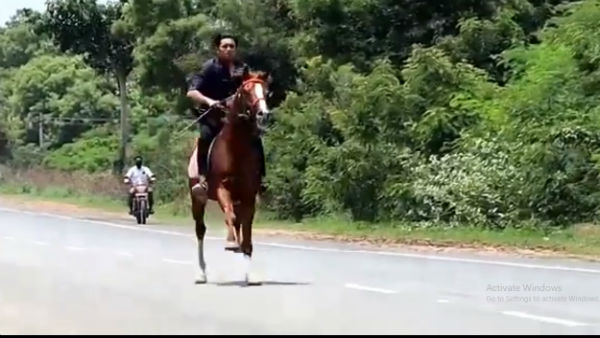 नेशनल हाईवे पर दौड़ाया घोड़ा