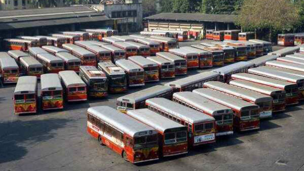 bus bus