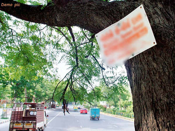 hit and run in ahmedabad : A Minor car driver trampled women, those sitting under tree hit and run in ahmedabad : A Minor car driver trampled women, those sitting under tree