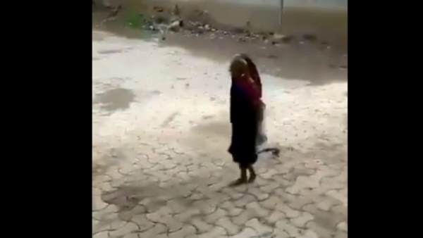 कोबरा को फेंकते वक्त उचित दूरी का रखा ख्याल