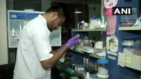 csir csir