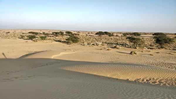 तपती जमीन और 600 किलोमीटर से लंबा सफर