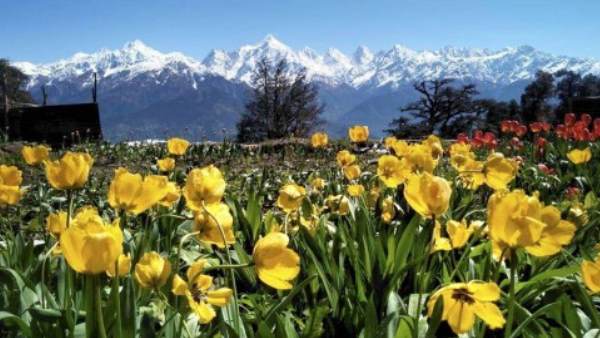 carbon pollution, coronavirus, coronavirus pandemic, covid19, covid-19, lockdown, study, pollution, climate change, कार्बन प्रदूषण, कोरोना वायरस, कोरोना वायरस महामारी, कोविड-19, कोविड19, शोध, स्टडी, प्रदूषण, जलवायु परिवर्तन, लॉकडाउन carbon pollution, coronavirus, coronavirus pandemic, covid19, covid-19, lockdown, study, pollution, climate change, कार्बन प्रदूषण, कोरोना वायरस, कोरोना वायरस महामारी, कोविड-19, कोविड19, शोध, स्टडी, प्रदूषण, जलवायु परिवर्तन, लॉकडाउन
