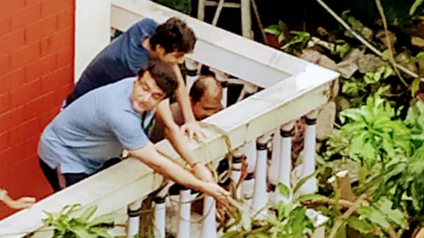 Cyclone Amphan की वजह से दादा के घर में गिरा पेड़.