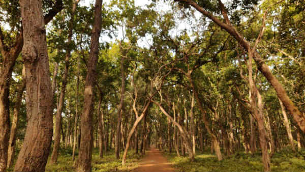 चौंकाने वाले आंकड़े