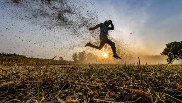 लॉकडाउन की वजह से हुई मौतों में आत्महत्या ज्यादा