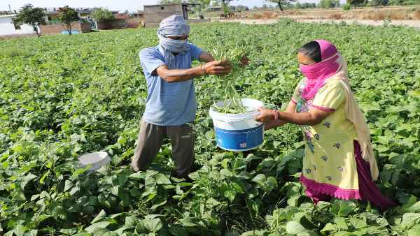रेड जोन में और क्या रियायत मिली है?