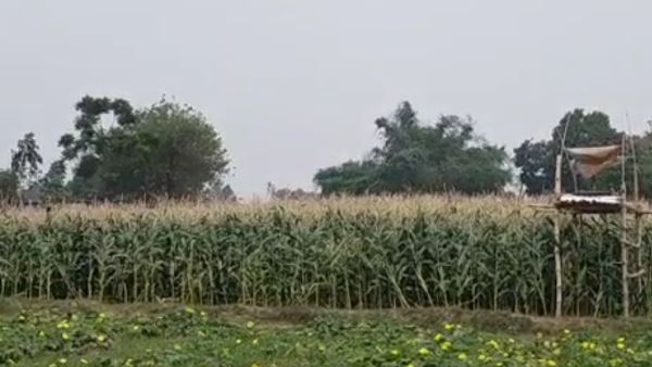 क्या कहते हैं किसान