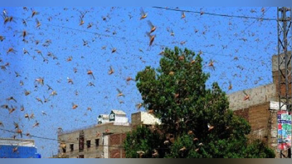 मप्र के 12 जिलों में मचा कोहराम