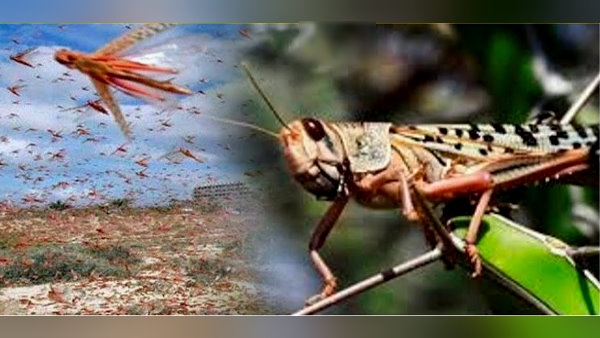 स्थिति पर नजर रखने के लिए सुपरविजन टीमें लगीं