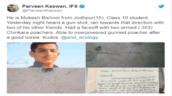सोशल मीडिया पर बना हीरो
