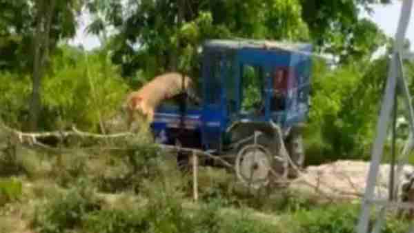 बाइक सवार दो भाइयों पर किया हमला