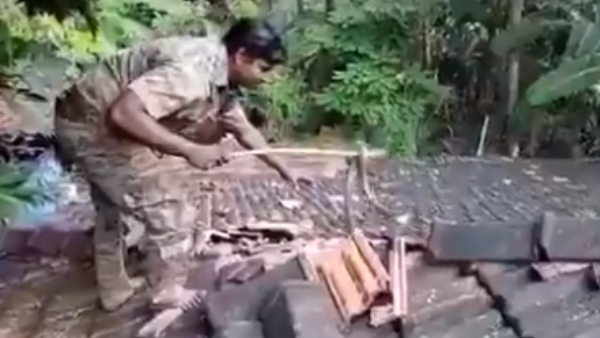 फॉरेस्ट गार्ड ने बचाई सांप की जान