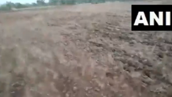 Tiddi Dal reached Madhya pradesh four districts affected Tiddi Dal reached Madhya pradesh four districts affected