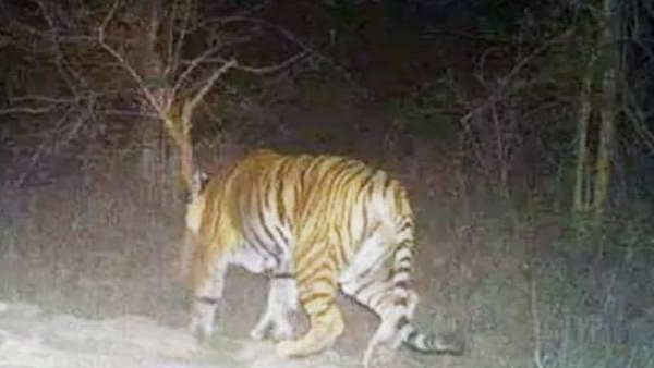 मदद के लिए आए लोगों पर भी किया हमला