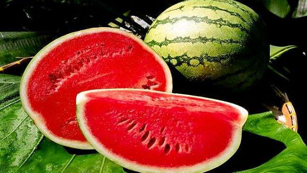 सुपर स्प्रेडर साबित हुआ तरबूज विक्रेता