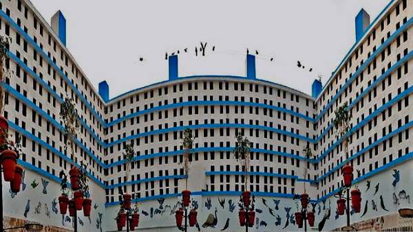 झुंझुनूं : कबूतरों के लिए बने 11 सौ फ्लैट