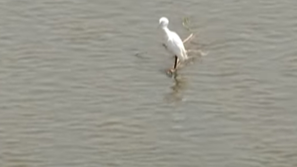 क्या साफ रह पाएगी यमुना?