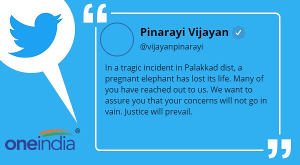 kerala Elephant Death: CM Pinarayi Vijayan promises strict action against culprits kerala Elephant Death: CM Pinarayi Vijayan promises strict action against culprits