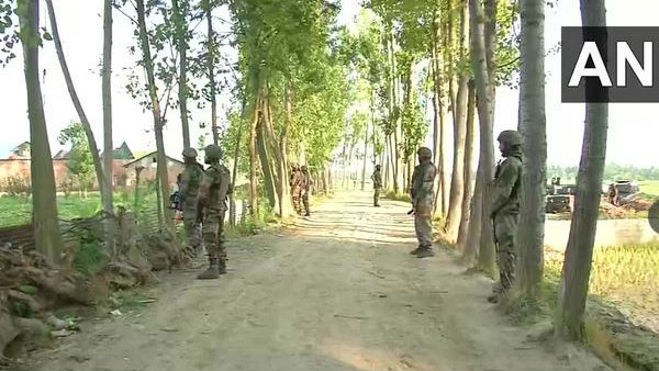 5 दिन में 14 आतंकवादी ढेर
