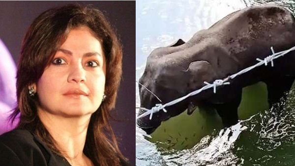 हम भगवान गणेश की पूजा करते हैं और...