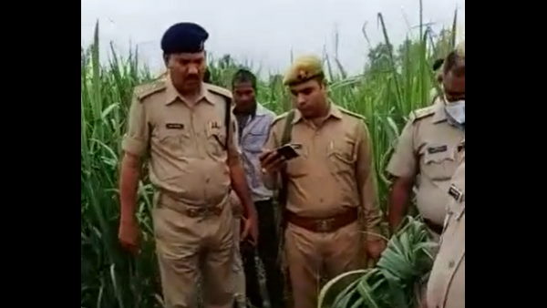 Lover found dead and girlfriend unconscious in crop field Lover found dead and girlfriend unconscious in crop field