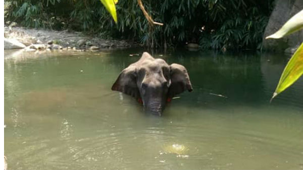 इंसानों की क्रूरता को बयां करती है घटना