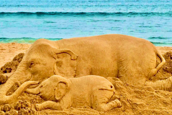 Sudarsan Pattnaik Sudarsan Pattnaik