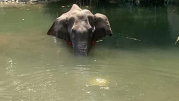 सरकार दोषियों को सख्त सजा दे: मायावती