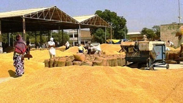 एमपी में एक करोड़ 29 लाख 28 हजार मीट्रिक ट्रेन गेहूं खरीदा