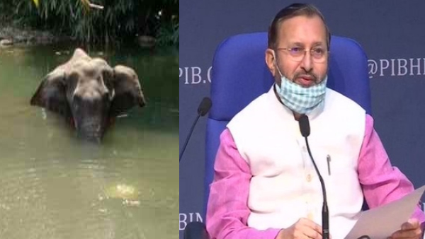 सीएम पिनरई विजय ने दिलाया ये भरोसा