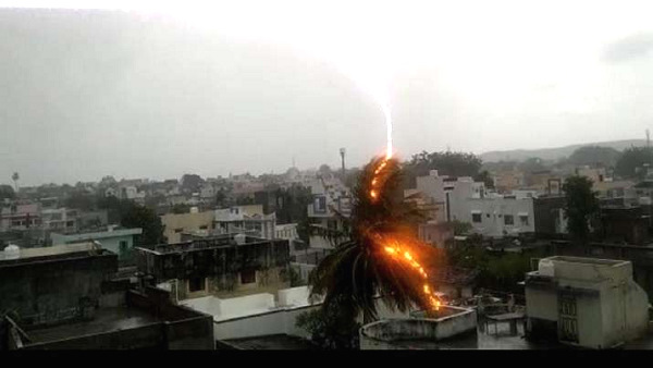 भीम एकादशी को हुई बारिश लाई विपदा