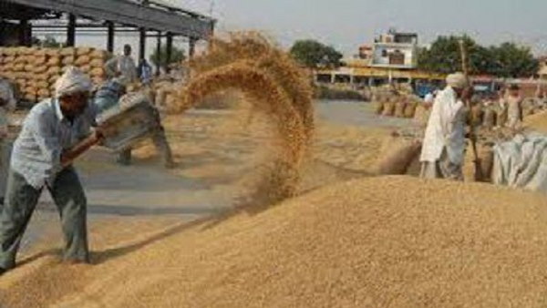 15 अप्रैल से शुरू हुई गेहूं की खरीद